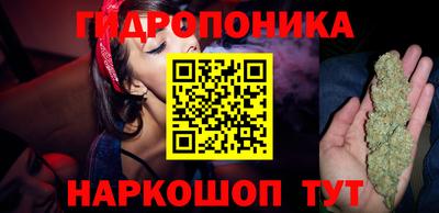 спиды Свободный