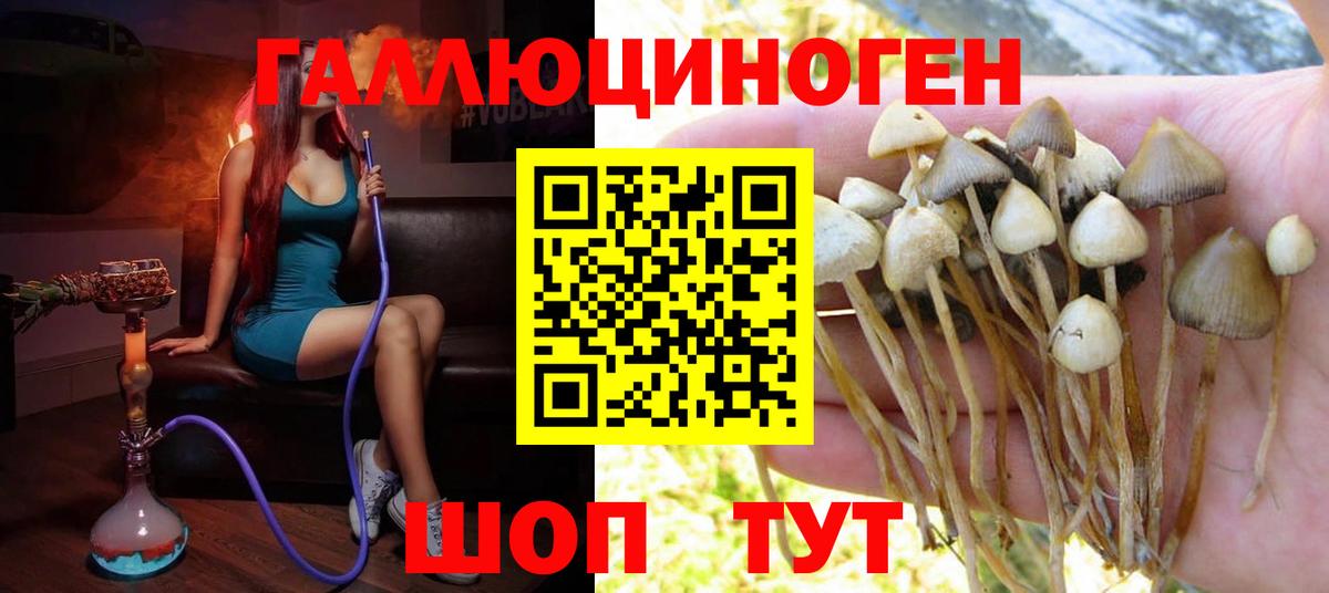 Галлюциногенные грибы MAGIC MUSHROOMS  Вход с VPN  Новоуральск  Псилоцибиновые грибы прущие грибы 